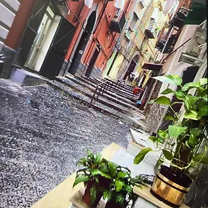 Casa Mari' Centro Storico Vicino Caracciolo Napoli